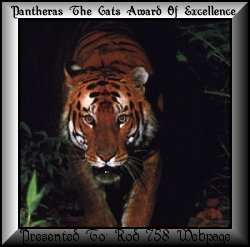 Pantheras The Cats Award Of Excellence