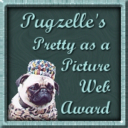 Pugzelle's "Pretty as a Picture Web Award"