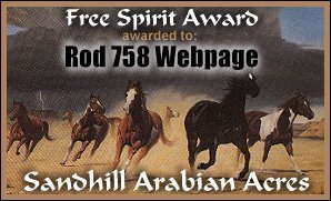 Free Spirit Award