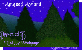 Amazed Award