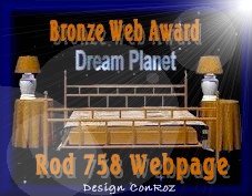 Dream Planet "Bronze Web Award"