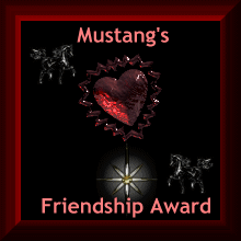Mustang's Place Friendship Award