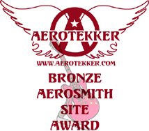 AEROSMITH Bronze Site Award