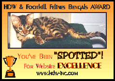 "HDW's YOU'VE BEEN SPOTTED For Website Excellence" award
