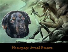 Rotti Award in Bronze