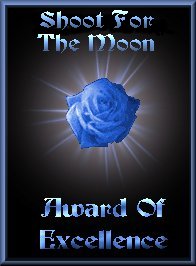Shoot for the moon - Award of Excellence