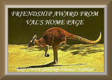 'FRIENDSHIP AWARD'