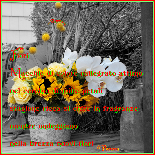 http://digilander.libero.it/romina05/BLOG/501-Fiori...rrr.png