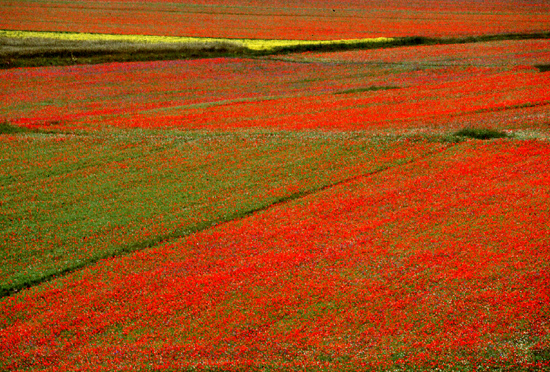 The Sibillini Hills, I Monti Sibillini, Umbria, Marche, Italy