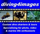 Diving4images