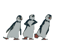 pinguini.gif (44297 byte)