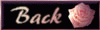 back13.GIF (2881 byte)