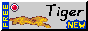 Banner Tiger