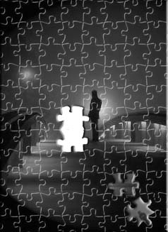 puzzle vita