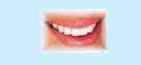 www.odonto-net.it - Il dentista informa