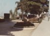 Viale Spinelli presso il Belvedere negli anni 60