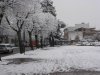 Viale Spinelli di San Giorgio del Sannio con la neve