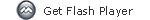 required flash player