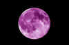 Purple_Moon3_04.jpg (165585 byte)