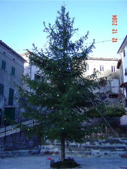 L'ALBERO DI GIORNO