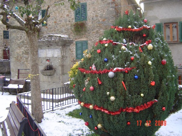 L'Albero di Natale