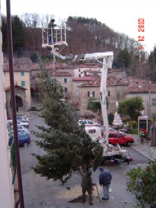 LA PREPARAZIONE DELL'ALBERO CON LUCI E ADDOBBI