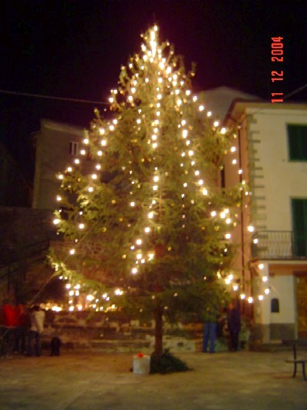 L'ALBERO DI NOTTE