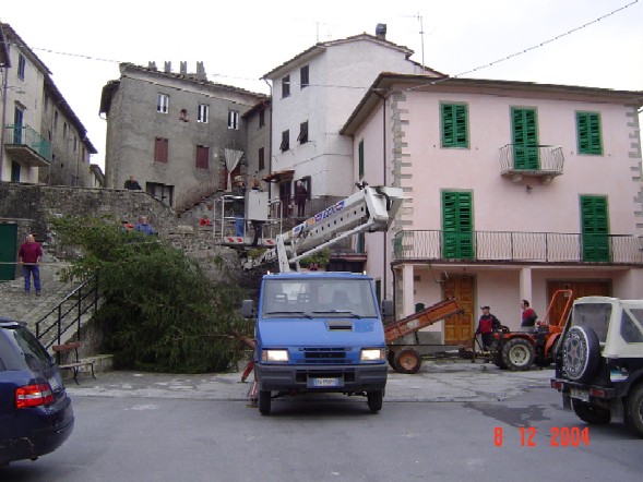 LA SISTEMAZIONE DELL'ALBERO