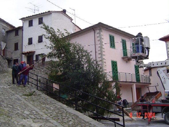 L'ALLESTIMENTO DELL'ALBERO