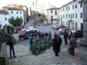 L'ARRIVO DELL'ALBERO IN PIAZZA