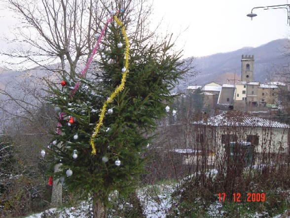 Albero di Natale con Brandeglio sullo sfondo