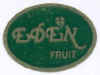 E501-04 - Eden - B.jpg (6205 byte)