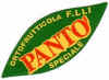 PF04-01 - Panto - A.JPG (32700 byte)