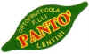 PF04-02 - Panto - A.JPG (23341 byte)