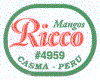 R503-01 - Ricco - A.gif (11059 byte)