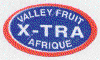 X501-01 - X-Tra - A.gif (14990 byte)