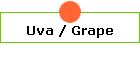 Uva / Grape