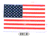 F011-01 - Flag - A.gif (7480 byte)