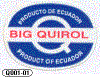 Q001-01 - big Quirol - A.gif (14287 byte)