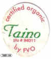 T001-04 - Taino - C.JPG (11546 bytes)