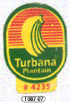 T007-07 - Turbana - B.gif (20347 byte)