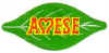 AF05-01 - Amese - A.JPG (15164 bytes)