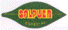 SF01-01 - Salpuer - A.gif (18936 byte)