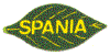 SF07-01 - Spania - A.gif (7819 byte)