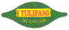 TF06-01 - i Tulipani - A.gif (12332 byte)