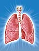 Health Lungs