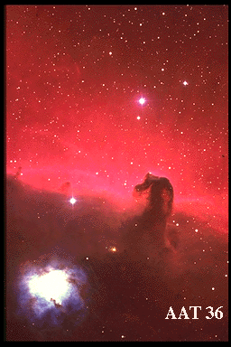 B33 - Nebulosa Oscura "Testa di Cavallo"