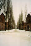 Oswiecim-Auschwitz2.jpg (117094 byte)