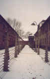 Oswiecim-Auschwitz.jpg (230714 byte)