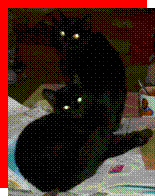 Descrizione: CAT 2 x BLACK Marlene IVextract